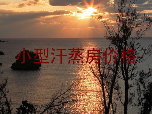 小型汗蒸房价格