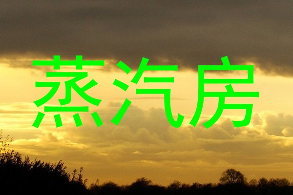蒸汽房