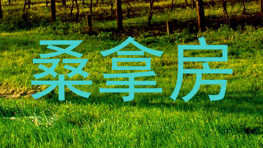 桑拿房