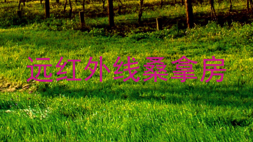 远红外线桑拿房