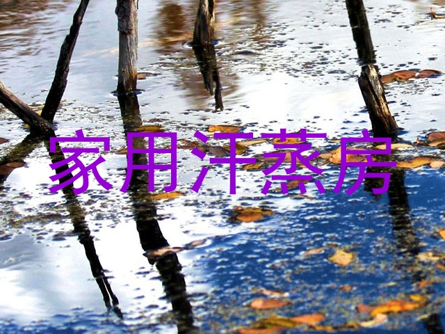 家用汗蒸房