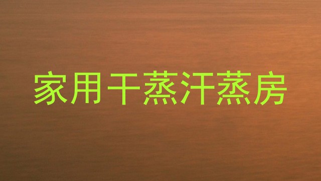 家用干蒸汗蒸房