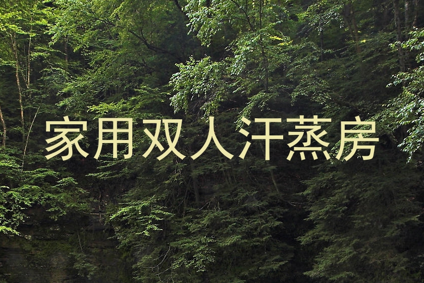 家用双人汗蒸房