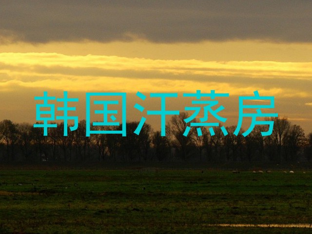 韩国汗蒸房
