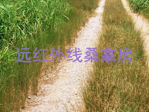 远红外线桑拿房