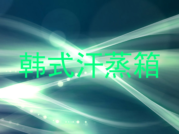 韩式汗蒸箱