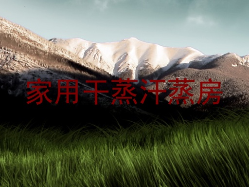 家用干蒸汗蒸房