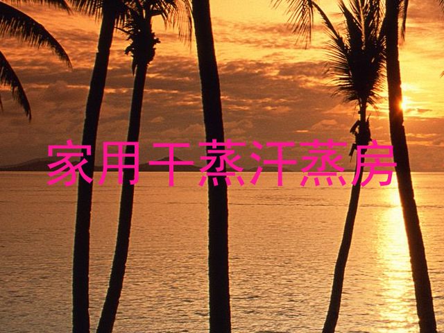 家用干蒸汗蒸房