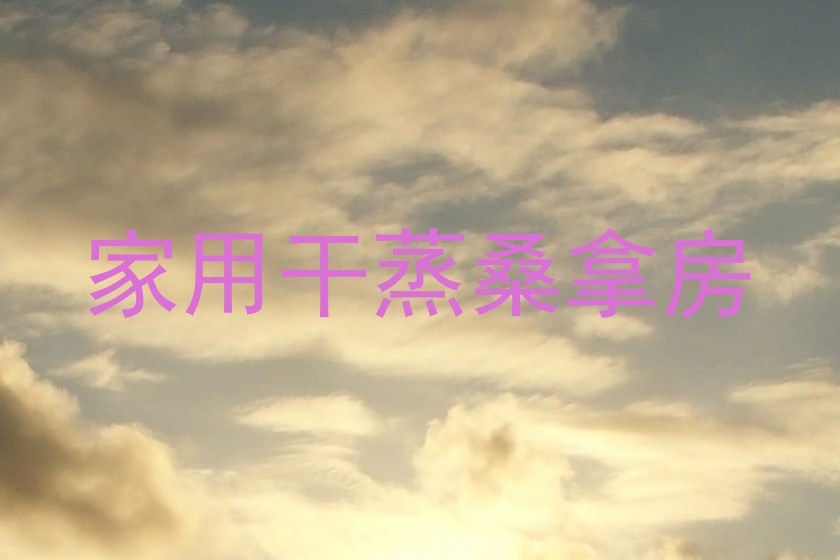 家用干蒸桑拿房