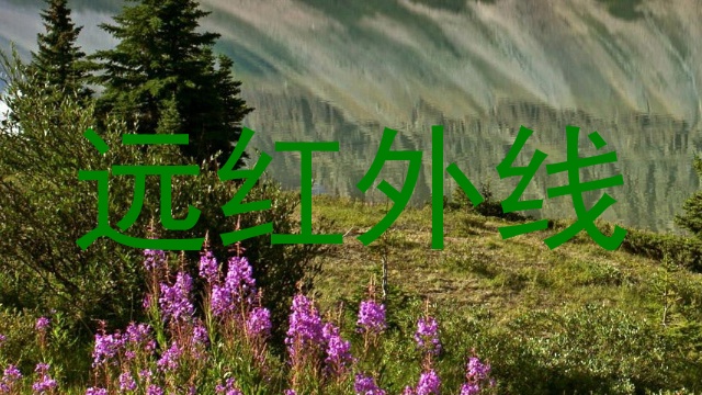 远红外线