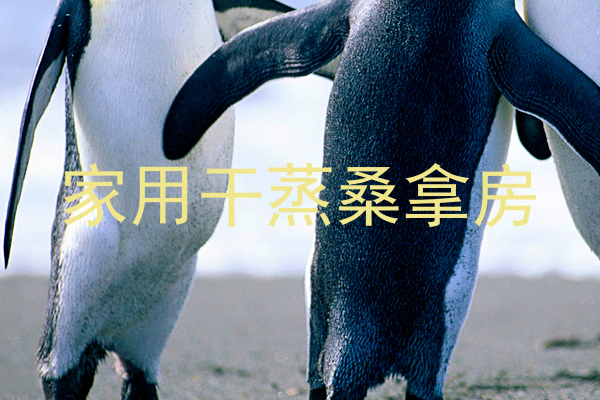 家用干蒸桑拿房
