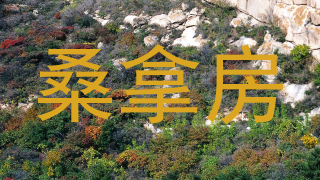 桑拿房