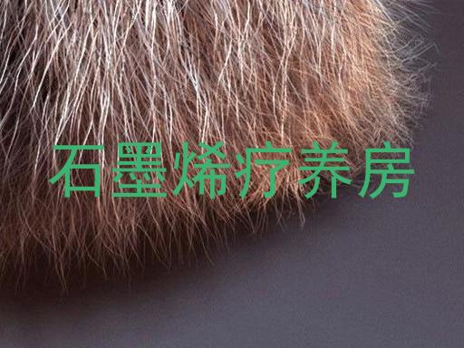 石墨烯疗养房