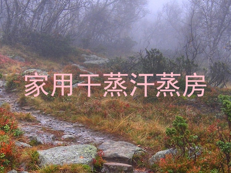 家用干蒸汗蒸房