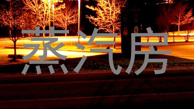 蒸汽房