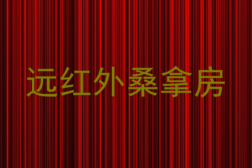 远红外桑拿房