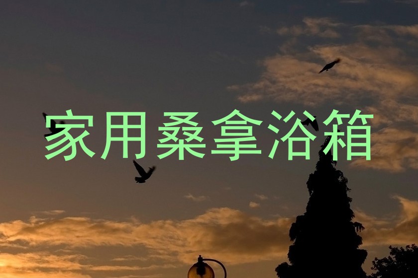 家用桑拿浴箱