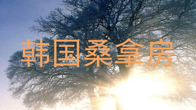 韩国桑拿房