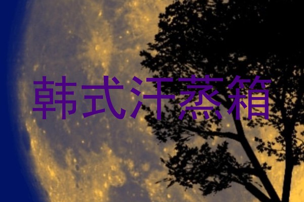 韩式汗蒸箱
