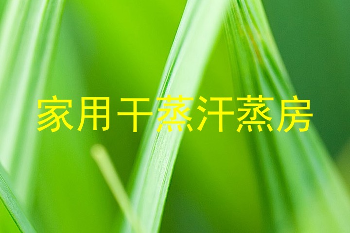 家用干蒸汗蒸房