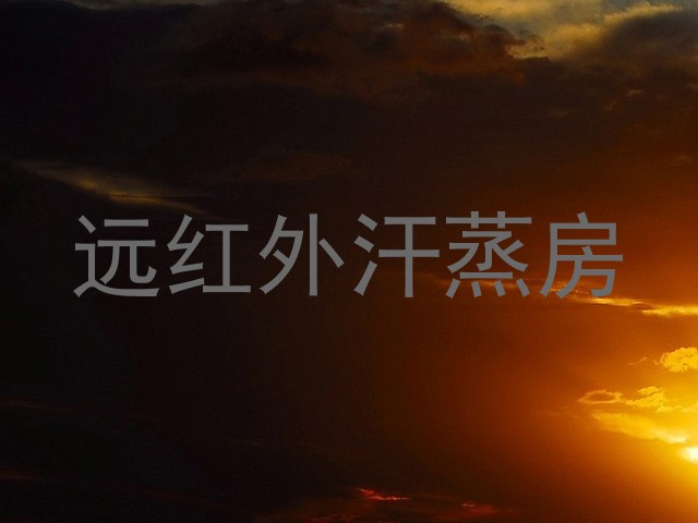 远红外汗蒸房