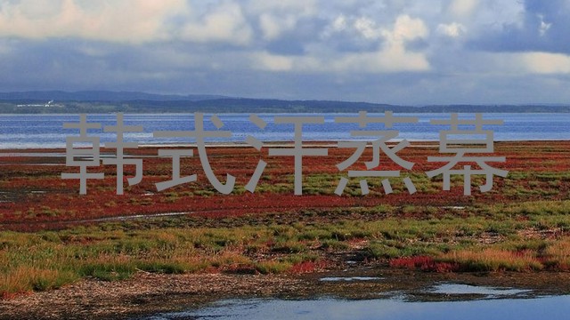 韩式汗蒸幕