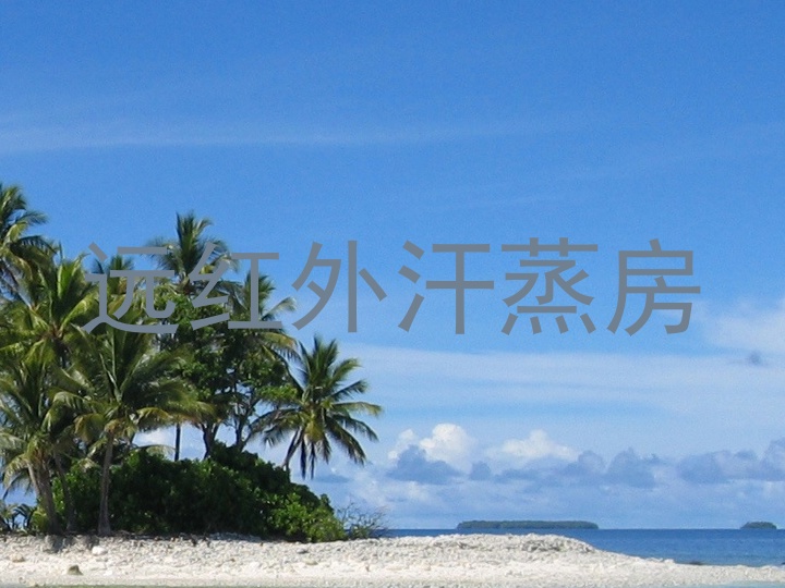 远红外汗蒸房