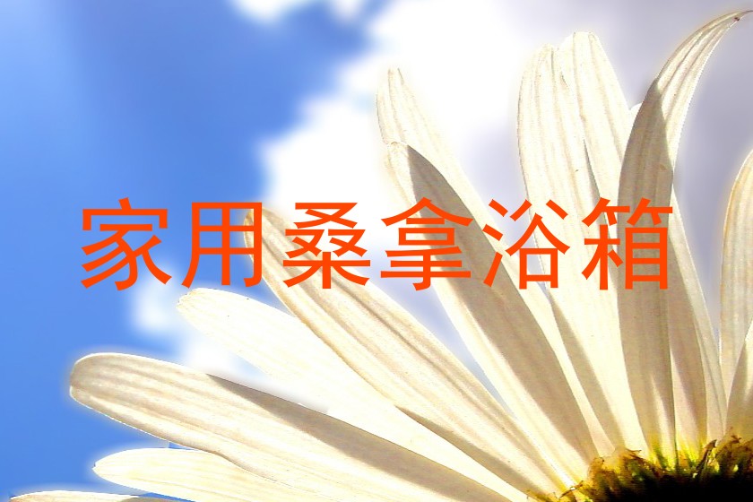 家用桑拿浴箱