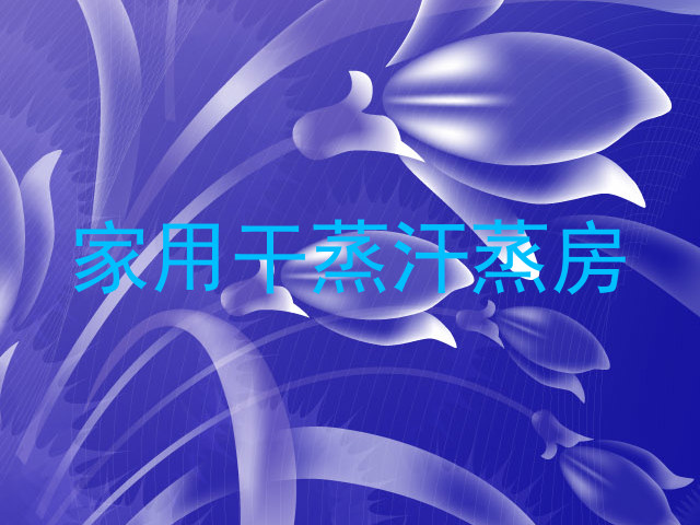 家用干蒸汗蒸房