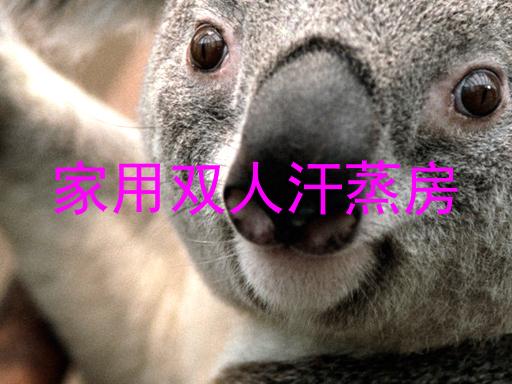 家用双人汗蒸房