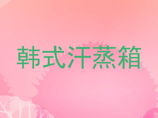 韩式汗蒸箱