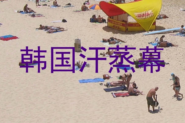 韩国汗蒸幕