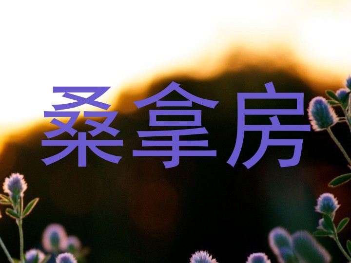 桑拿房