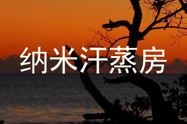 纳米汗蒸房