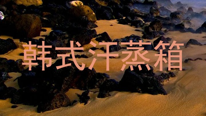 韩式汗蒸箱