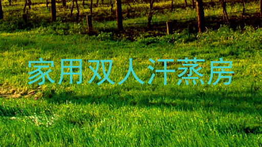 家用双人汗蒸房