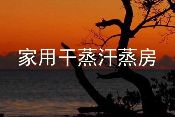 家用干蒸汗蒸房
