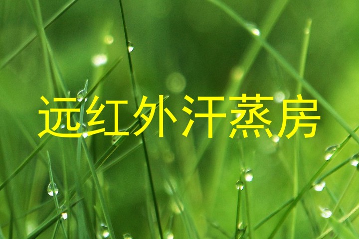 远红外汗蒸房