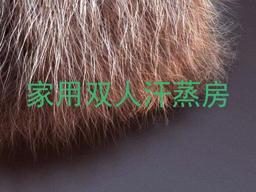家用双人汗蒸房