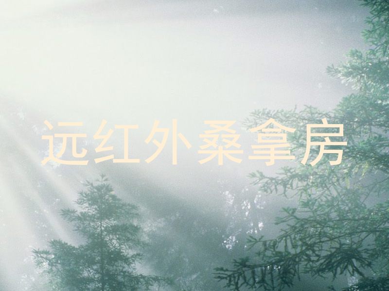远红外桑拿房