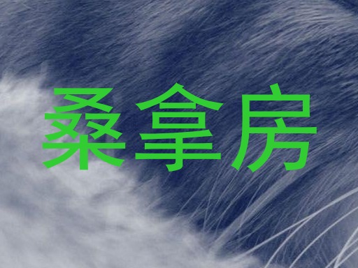 桑拿房