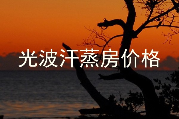 光波汗蒸房价格