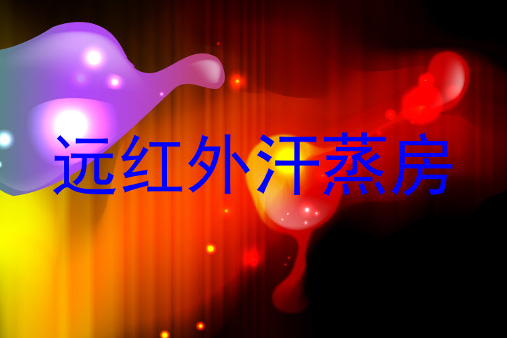 远红外汗蒸房