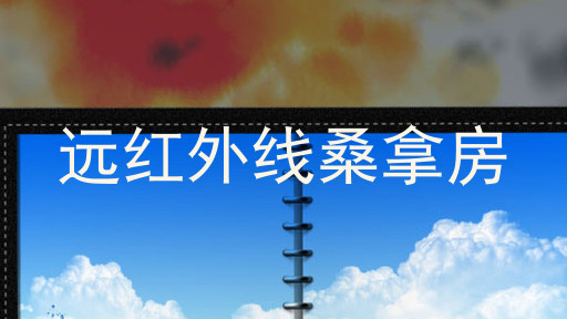 远红外线桑拿房