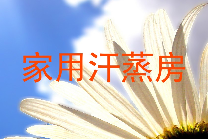家用汗蒸房