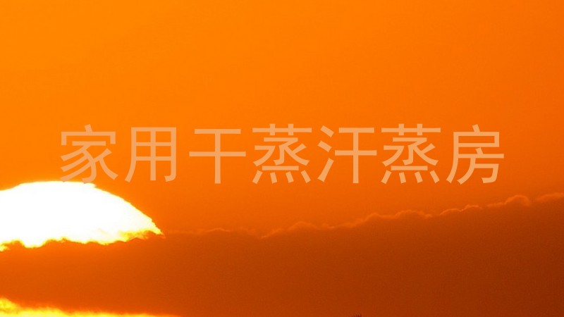 家用干蒸汗蒸房