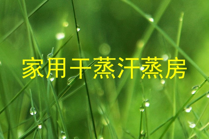 家用干蒸汗蒸房
