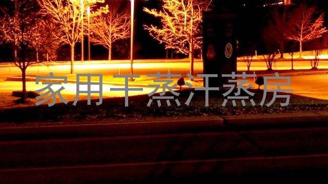 家用干蒸汗蒸房