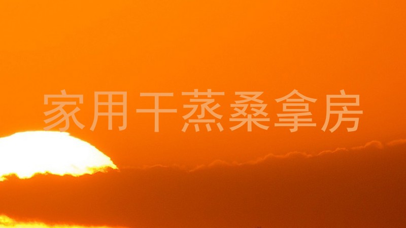 家用干蒸桑拿房