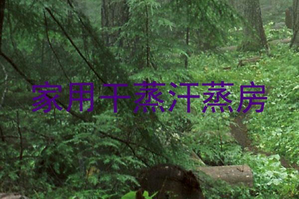 家用干蒸汗蒸房